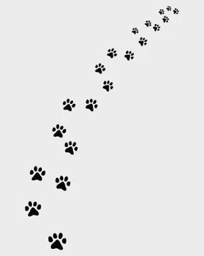 Footprints of cat Stock Illustration