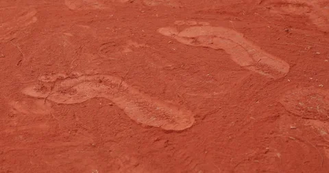Footprints at crime scene Stock Footage 324038802