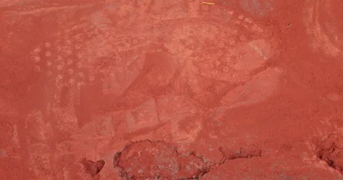 Footprints at crime scene Stock Footage 324123468