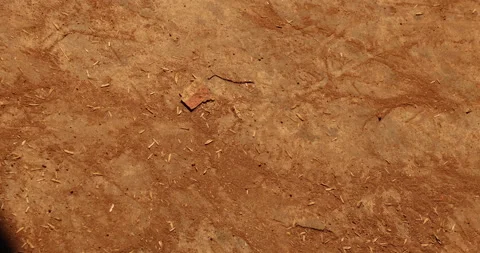 Footprints at crime scene Stock Footage 324156258