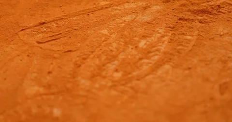 Footprints at crime scene Stock-Footage 324221201