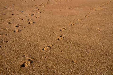 Footprints Crossing over Clean Beach Sand Stock Photos