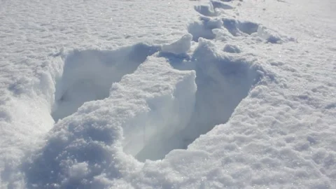 The Footprints in deep snow. Deep snow. Snow drifts trail. Stock Footage 170434941