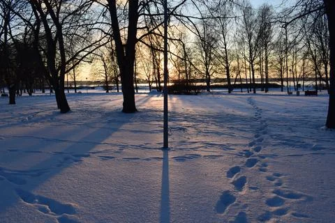 Footprints in deep snow in park during low winter sunset Фото
