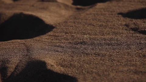 Footprints in Desert Stock Footage
