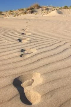 Footprints in a desert Stock Photos