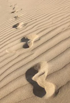 Footprints in a desert Stock Photos
