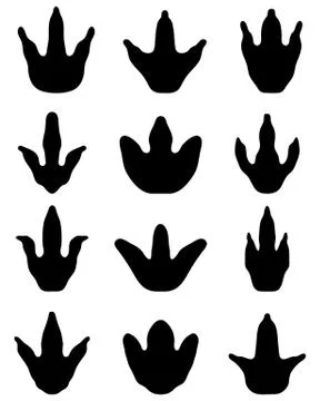 Footprints of dinosaur Stock Illustration