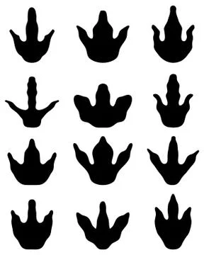 Footprints of dinosaur Stock Illustration