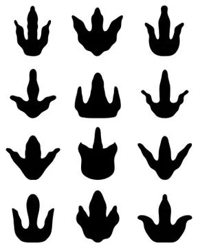 Footprints of dinosaurs Stock Illustration