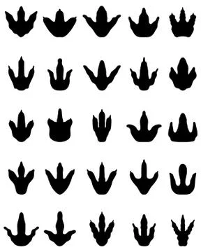 Footprints of dinosaurs Stock Illustration