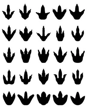 Footprints of dinosaurs Stock Illustration