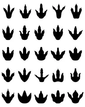 Footprints of dinosaurs Stock Illustration