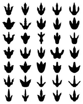 Footprints of dinosaurs Stock Illustration