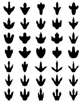 Footprints of dinosaurs Stock Illustration