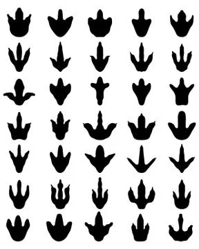 Footprints of dinosaurs Stock Illustration