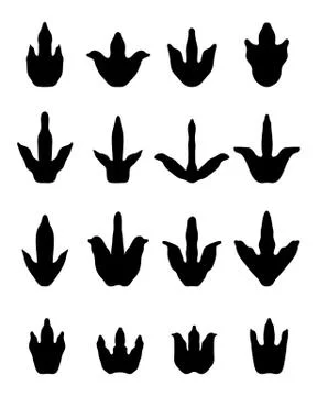 Footprints of dinosaurs Stock Illustration