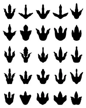 Footprints of dinosaurs Stock Illustration