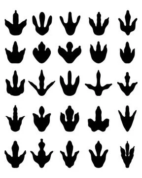 Footprints of dinosaurs Stock Illustration
