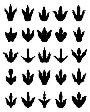 Footprints of dinosaurs Stock Illustration
