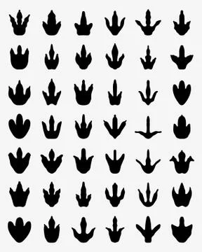 Footprints Of Dinosaurs Stock Illustration