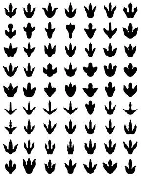 Footprints of dinosaurs Stock Illustration