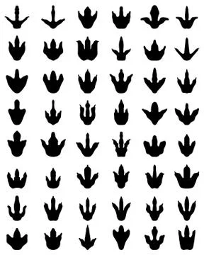 Footprints of dinosaurs Stock Illustration
