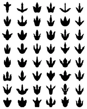 Footprints of dinosaurs Stock Illustration