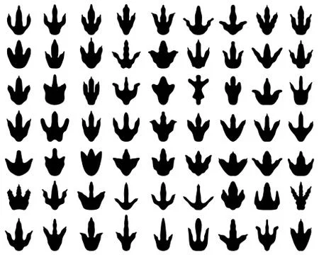 Footprints of dinosaurs Stock Illustration