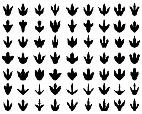 Footprints of dinosaurs Stock Illustration