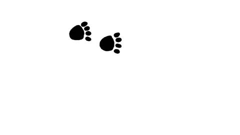 Footprints of a dog, bear or some big animal. Black footprints on white backg Vidéo 146259679