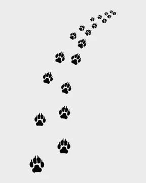 Footprints of dog Stock Illustration