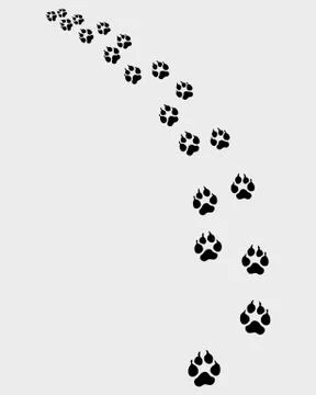 Footprints of dog Stock Illustration