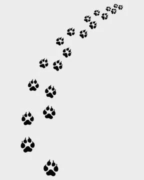 Footprints of dog Illustrazione stock
