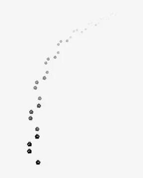 Footprints of dog Stock Illustration
