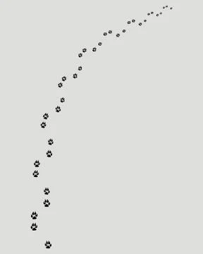 Footprints of dog Stock Illustration