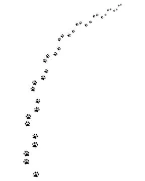 Footprints of dog Stock Illustration