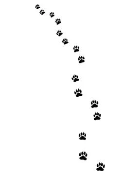 Footprints of dog Stock Illustration