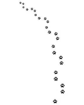 Footprints of dog Illustrazione stock