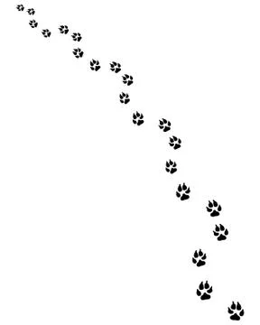 Footprints of dog Stock Illustration