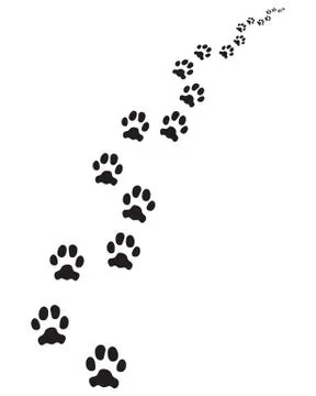 Footprints of dog Stock Illustration