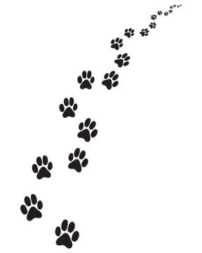 Footprints of dog Stock Illustration