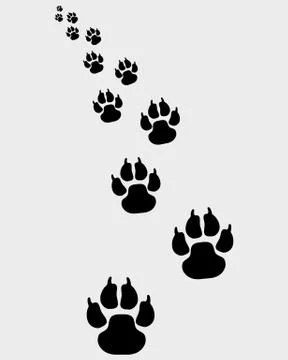 Footprints of dogs  Stock Illustration