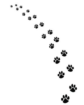 Footprints of dogs Stock Illustration