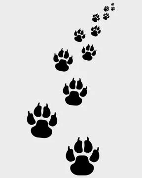 Footprints of dogs  Stock Illustration