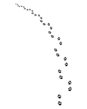 Footprints of dogs Stock Illustration