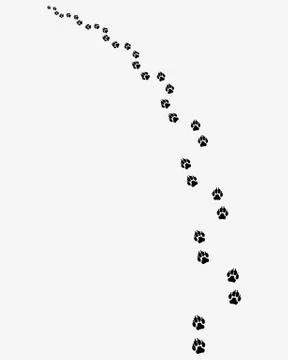 Footprints of dogs Stock Illustration
