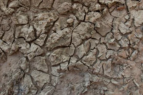 Footprints in dry cracked loam soil background, parched earth ground texture Stock Photos