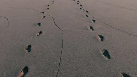 Footprints in the dry desert Stock Footage 255623438