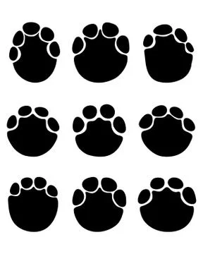 Footprints of elephants Illustrazione stock